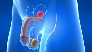 Lubrication in men during the excitement of what it is