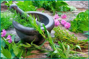 Medicinal herbs to restore male potency
